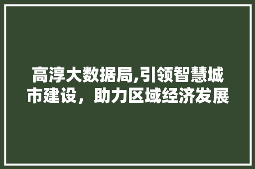 高淳大数据局,引领智慧城市建设，助力区域经济发展