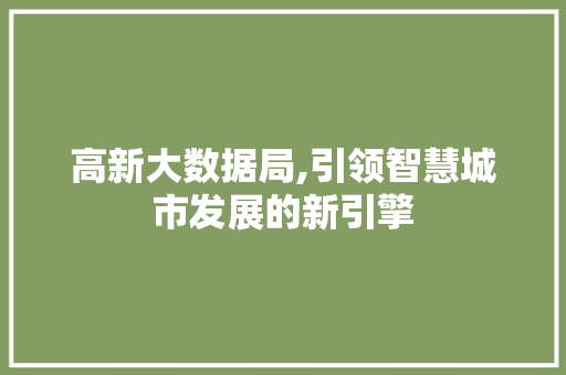 高新大数据局,引领智慧城市发展的新引擎