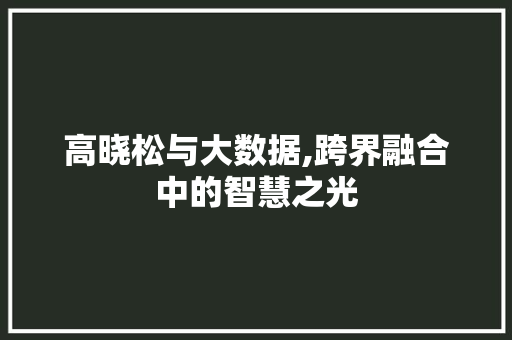 高晓松与大数据,跨界融合中的智慧之光
