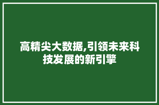 高精尖大数据,引领未来科技发展的新引擎