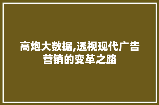 高炮大数据,透视现代广告营销的变革之路