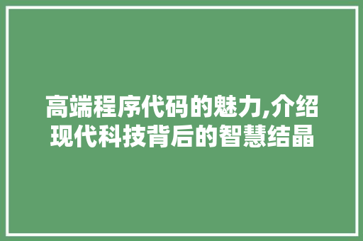 高端程序代码的魅力,介绍现代科技背后的智慧结晶