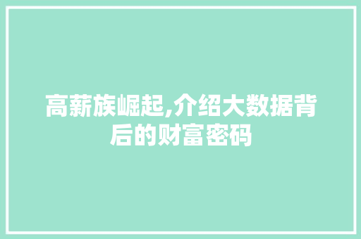 高薪族崛起,介绍大数据背后的财富密码