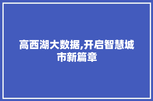 高西湖大数据,开启智慧城市新篇章 百度SEO