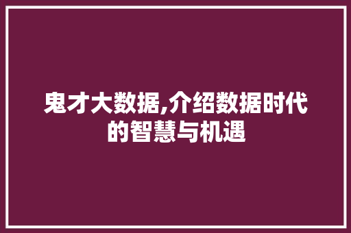鬼才大数据,介绍数据时代的智慧与机遇