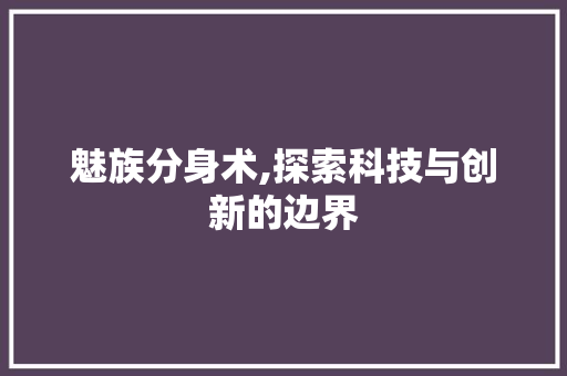 魅族分身术,探索科技与创新的边界
