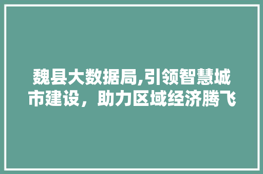 魏县大数据局,引领智慧城市建设，助力区域经济腾飞