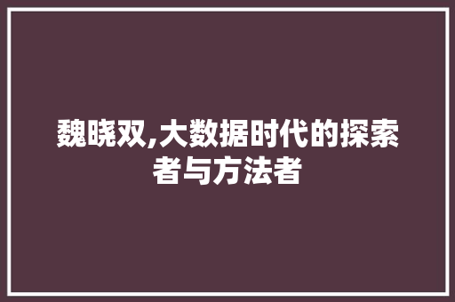 魏晓双,大数据时代的探索者与方法者