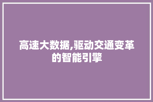 高速大数据,驱动交通变革的智能引擎