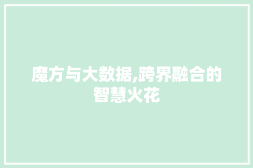 魔方与大数据,跨界融合的智慧火花