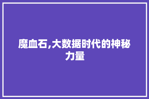 魔血石,大数据时代的神秘力量