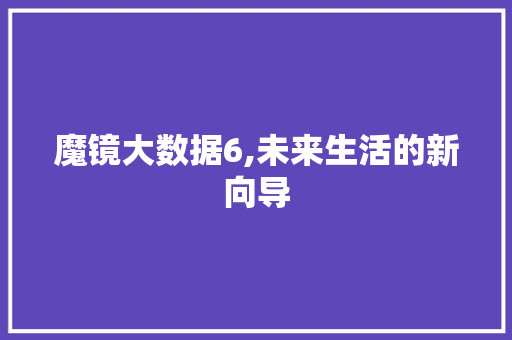魔镜大数据6,未来生活的新向导