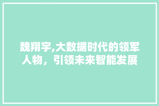 魏翔宇,大数据时代的领军人物，引领未来智能发展
