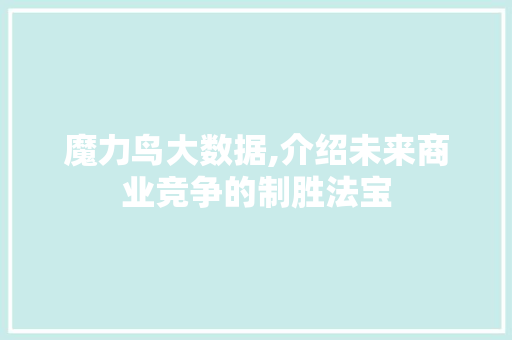 魔力鸟大数据,介绍未来商业竞争的制胜法宝