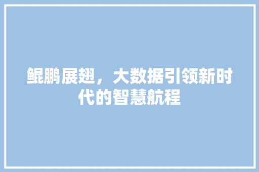 鲲鹏展翅，大数据引领新时代的智慧航程