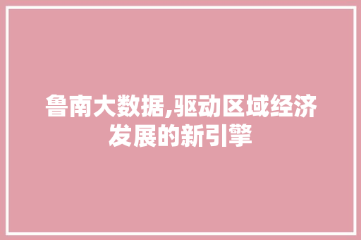 鲁南大数据,驱动区域经济发展的新引擎