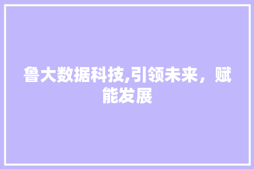 鲁大数据科技,引领未来，赋能发展