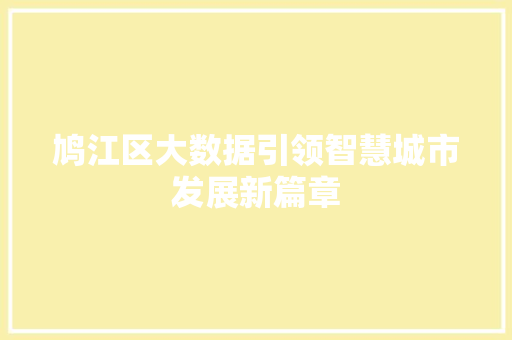 鸠江区大数据引领智慧城市发展新篇章