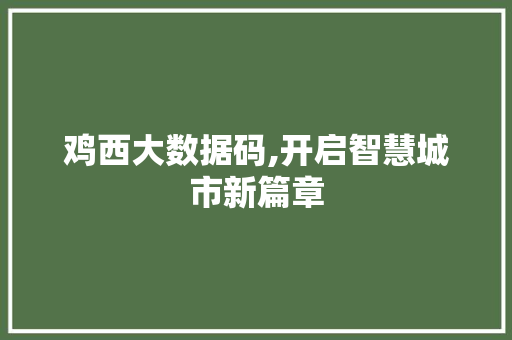 鸡西大数据码,开启智慧城市新篇章