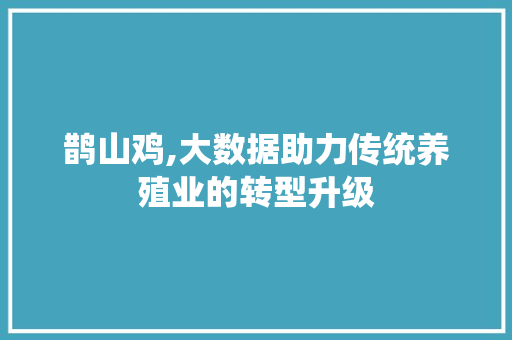 鹊山鸡,大数据助力传统养殖业的转型升级