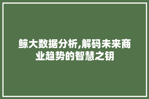鲸大数据分析,解码未来商业趋势的智慧之钥