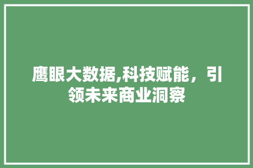 鹰眼大数据,科技赋能，引领未来商业洞察