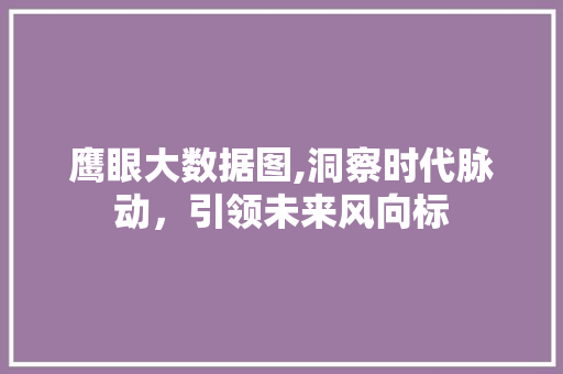 鹰眼大数据图,洞察时代脉动，引领未来风向标
