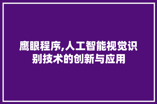鹰眼程序,人工智能视觉识别技术的创新与应用
