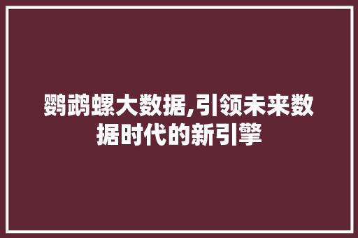 鹦鹉螺大数据,引领未来数据时代的新引擎