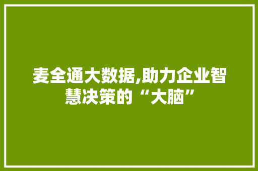 麦全通大数据,助力企业智慧决策的“大脑”