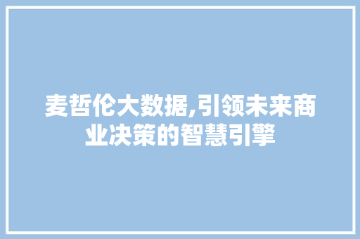 麦哲伦大数据,引领未来商业决策的智慧引擎