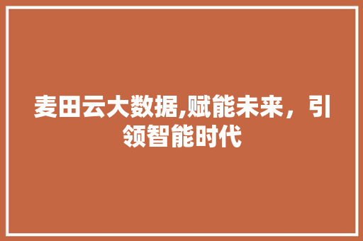麦田云大数据,赋能未来，引领智能时代