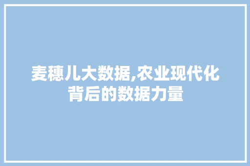 麦穗儿大数据,农业现代化背后的数据力量