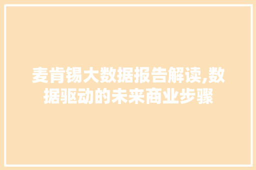 麦肯锡大数据报告解读,数据驱动的未来商业步骤