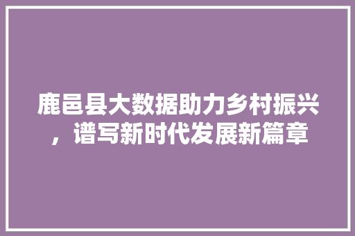 鹿邑县大数据助力乡村振兴，谱写新时代发展新篇章