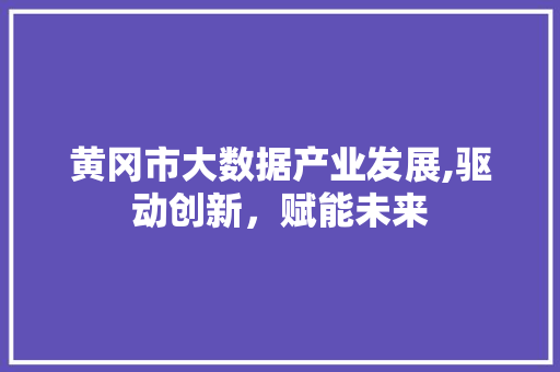 黄冈市大数据产业发展,驱动创新，赋能未来