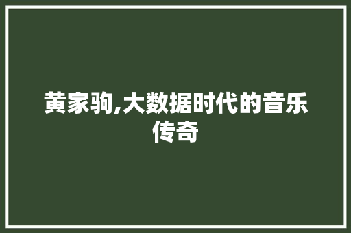 黄家驹,大数据时代的音乐传奇
