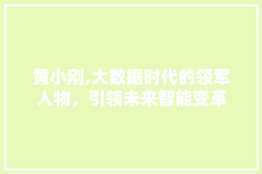 黄小刚,大数据时代的领军人物，引领未来智能变革
