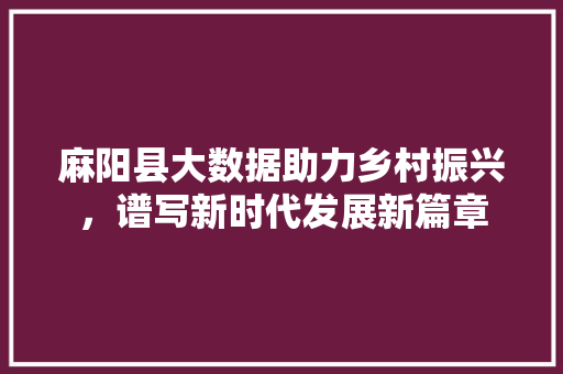 麻阳县大数据助力乡村振兴，谱写新时代发展新篇章