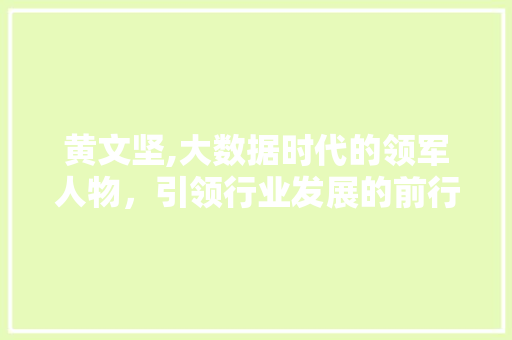 黄文坚,大数据时代的领军人物，引领行业发展的前行者