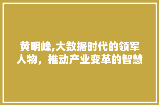 黄明峰,大数据时代的领军人物，推动产业变革的智慧之光