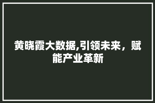 黄晓霞大数据,引领未来，赋能产业革新