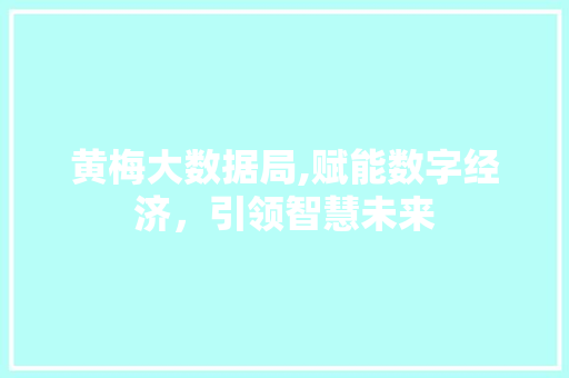 黄梅大数据局,赋能数字经济，引领智慧未来