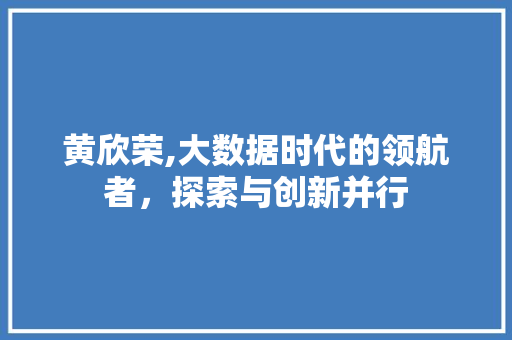 黄欣荣,大数据时代的领航者，探索与创新并行