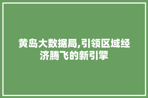 黄岛大数据局,引领区域经济腾飞的新引擎