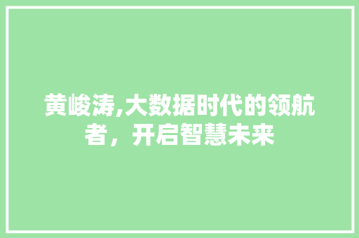 黄峻涛,大数据时代的领航者，开启智慧未来