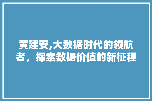 黄建安,大数据时代的领航者，探索数据价值的新征程