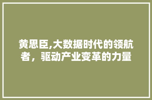 黄思臣,大数据时代的领航者，驱动产业变革的力量