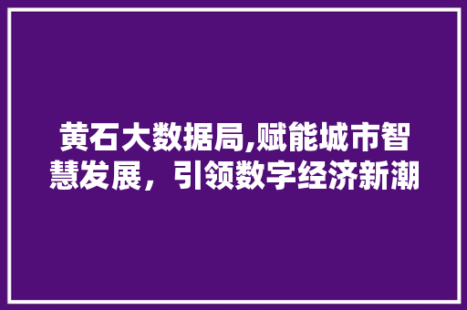 黄石大数据局,赋能城市智慧发展，引领数字经济新潮