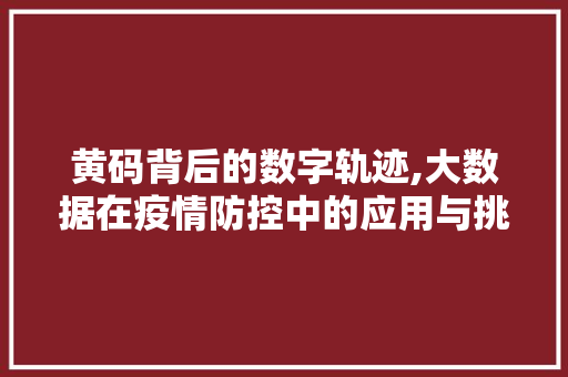 黄码背后的数字轨迹,大数据在疫情防控中的应用与挑战